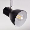 Farel Plafones, Spot techo Cromo, Negro, 2 luces
