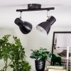 Farel Plafones, Spot techo Cromo, Negro, 2 luces