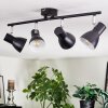Farel Plafones, Spot techo Cromo, Negro, 4 luces