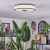 Elran Plafones LED Blanca, 1 luz