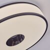 Elran Plafones LED Blanca, 1 luz