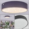 Elmar Plafones LED Negro, 1 luz