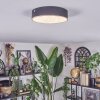 Elmar Plafones LED Negro, 1 luz