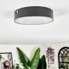 Elmar Plafones LED Negro, 1 luz