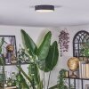 Elmar Plafones LED Negro, 1 luz