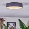 Elmar Plafones LED Negro, 1 luz