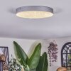 Elmar Plafones LED Plata, 1 luz