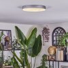 Elmar Plafones LED Plata, 1 luz