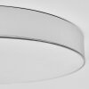 Elmar Plafones LED Plata, 1 luz