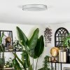 Elmar Plafones LED Plata, 1 luz