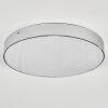 Elmar Plafones LED Plata, 1 luz