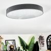 Elmar Plafones LED Negro, 1 luz
