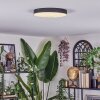 Elmar Plafones LED Negro, 1 luz