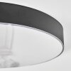 Elmar Plafones LED Negro, 1 luz