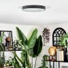 Elmar Plafones LED Negro, 1 luz