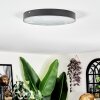 Elmar Plafones LED Negro, 1 luz