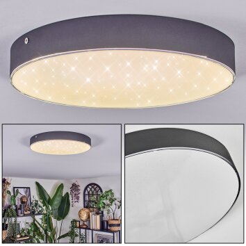Elmar Plafones LED Negro, 1 luz