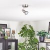 Firan Plafones, Spot techo LED Cromo, Níquel-mate, 1 luz