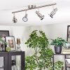 Firan Plafones, Spot techo LED Cromo, Níquel-mate, 4 luces