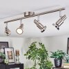 Firan Plafones, Spot techo LED Cromo, Níquel-mate, 4 luces