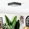 Esmar Plafones LED Negro, 1 luz