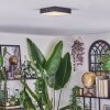 Esmar Plafones LED Negro, 1 luz