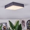 Esmar Plafones LED Negro, 1 luz