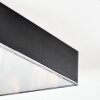 Esmar Plafones LED Negro, 1 luz