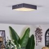 Esmar Plafones LED Negro, 1 luz