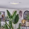 Esmar Plafones LED Blanca, 1 luz