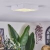 Esmar Plafones LED Blanca, 1 luz