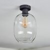 Apedo Plafones Transparente, 1 luz