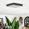 Esmar Plafones LED Negro, 1 luz