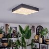 Esmar Plafones LED Negro, 1 luz