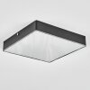Esmar Plafones LED Negro, 1 luz