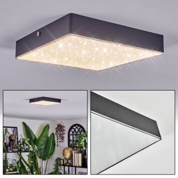 Esmar Plafones LED Negro, 1 luz