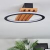 Pompu Plafones LED Crudo, Negro, 1 luz