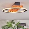 Pompu Plafones LED Crudo, Negro, 1 luz