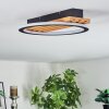 Pompu Plafones LED Crudo, Negro, 1 luz