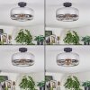 Boza Plafones Cromo, Transparente, Ahumado, 1 luz
