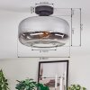 Boza Plafones Cromo, Transparente, Ahumado, 1 luz