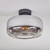 Boza Plafones Cromo, Transparente, Ahumado, 1 luz