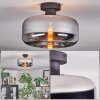 Boza Plafones Cromo, Ahumado, 1 luz