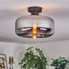 Boza Plafones Cromo, Ahumado, 1 luz