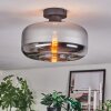 Boza Plafones Cromo, Ahumado, 1 luz