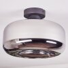 Boza Plafones Cromo, Ahumado, 1 luz