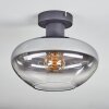 Mertola Plafones Transparente, Ahumado, 1 luz