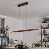 Fugelsta Lámparas suspendidas, Lámparas colgantes LED Negro, 1 luz
