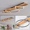 Pompu Plafones LED Madera clara, Negro, 2 luces