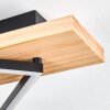 Pompu Plafones LED Madera clara, Negro, 2 luces